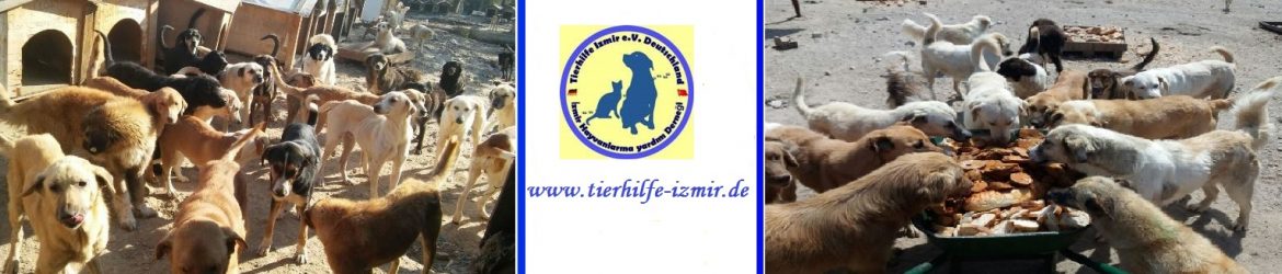 cropped-header-neu-2018-d.jpg