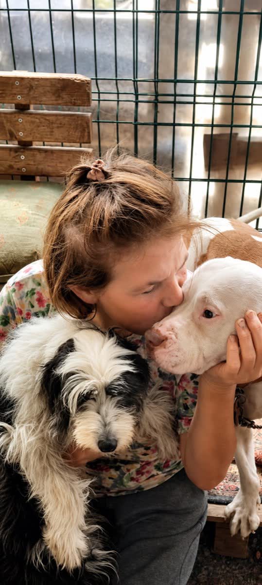 Hatice & die Waldhunde